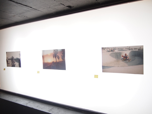 expo Anthony