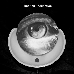 function-incubation-300x300